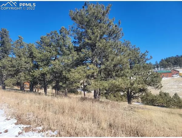 130 Appian WAY, Florissant, CO 80816