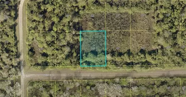 Lehigh Acres, FL 33974,1239 Ramee ST E