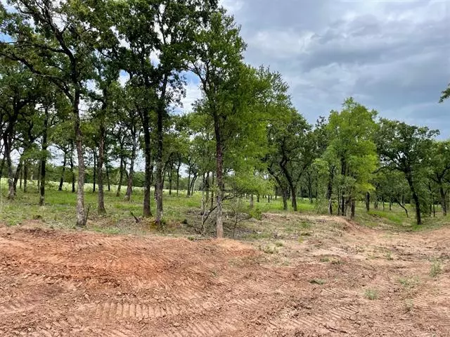 Lot 53 Greene Road, Weatherford, TX 76087