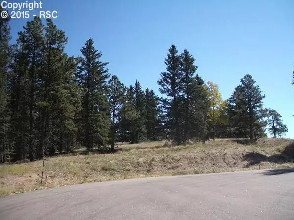 405 Silvermoon HTS, Divide, CO 80814