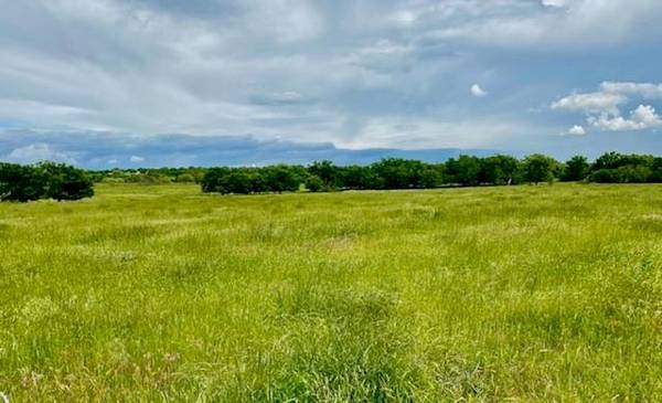 Lot 1 Coggins Road #TX, Bowie, TX 76230