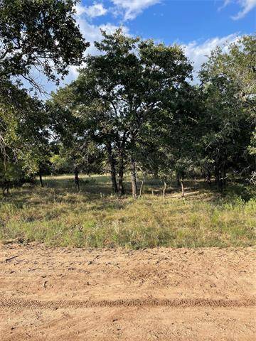 405 Red Roan Ridge, Brock, TX 76087