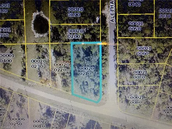 Lehigh Acres, FL 33974,2555 Meadow RD