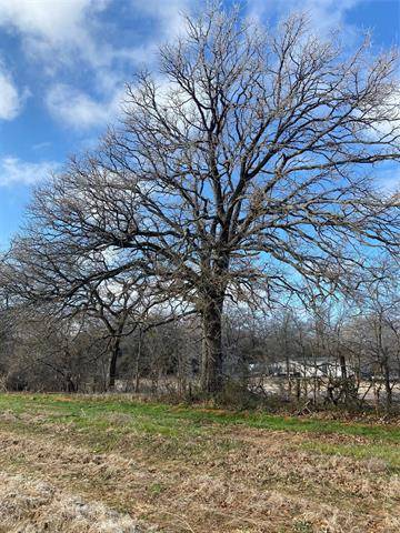 Lot 18 Farm Road 269 S, Saltillo, TX 75471