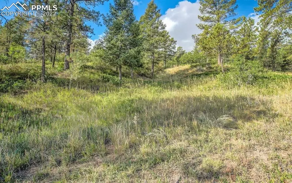 Larkspur, CO 80118,Perry Park RD