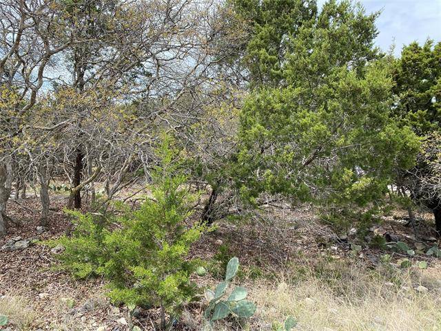 Graford, TX 76449,Lot 62 Coghill Drive