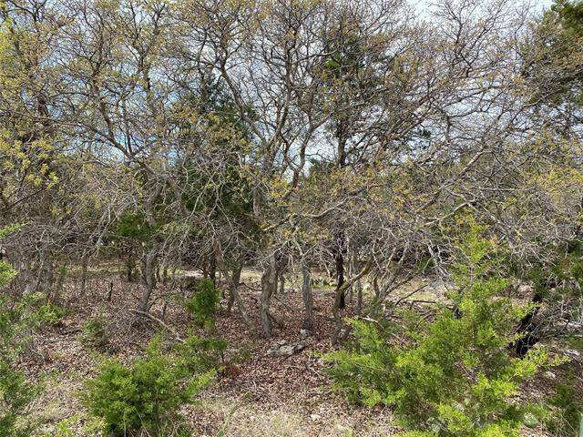 Graford, TX 76449,Lot 62 Coghill Drive