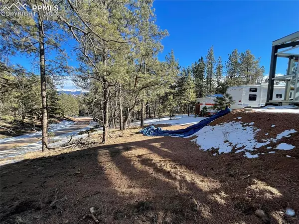 Florissant, CO 80816,361 Black Mesa CIR