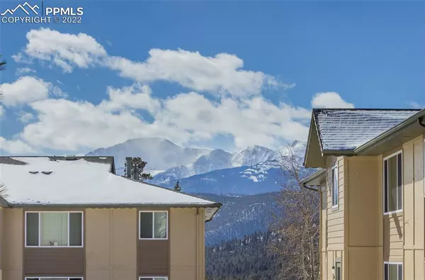 Woodland Park, CO 80863,380 Paradise CIR #B3