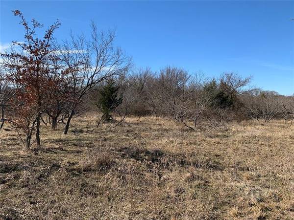 1999 FM 1816, Bowie, TX 76230