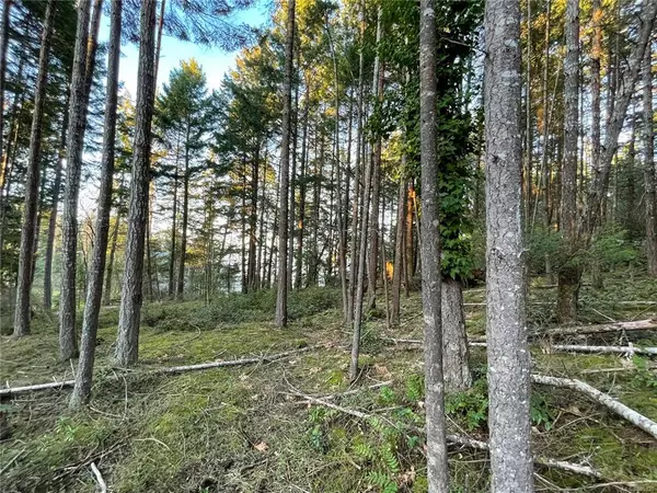 Gabriola Island, BC V0R 1X2,LT 2 Berry Point Rd