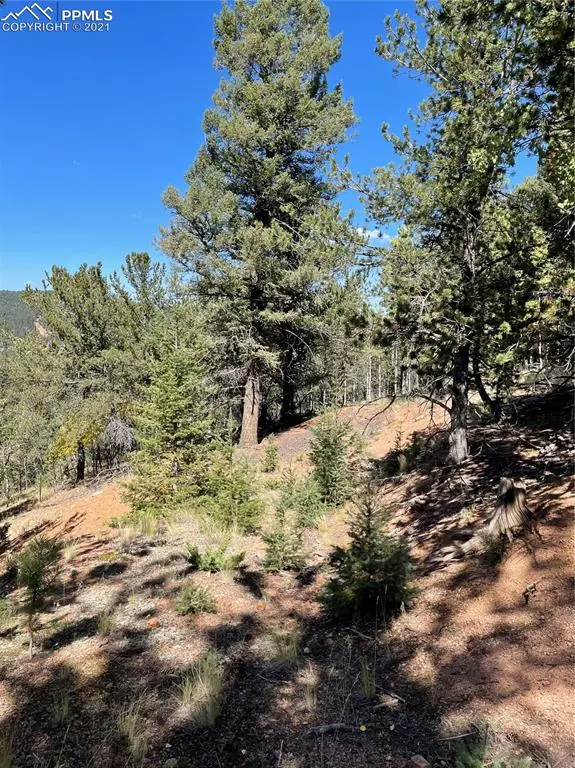 803 Calcite DR, Divide, CO 80814