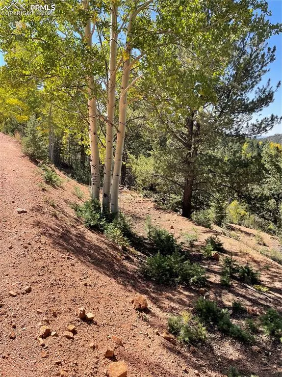 Divide, CO 80814,803 Calcite DR