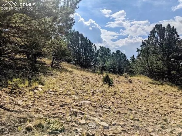 Westcliffe, CO 81252,Lot 90 Beneaton LN