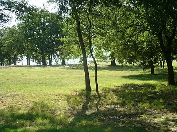 Corsicana, TX 75109,Lot 1 White Rock