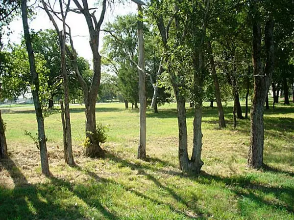 Corsicana, TX 75109,Lot 1 White Rock