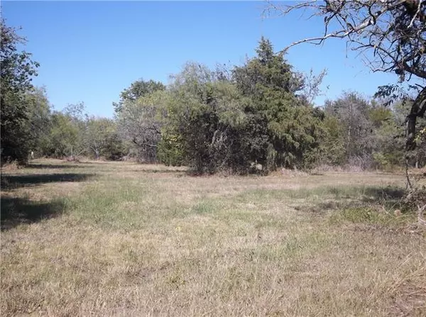 Corsicana, TX 75109,Lot 1 Grandview Estates Dr Drive