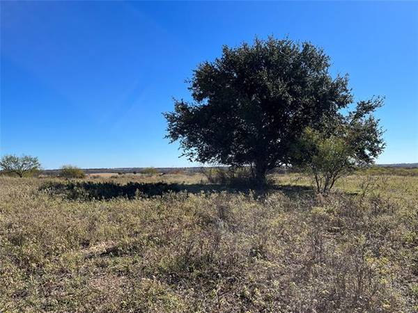 Tract 3 CR 102, Comanche, TX 76442