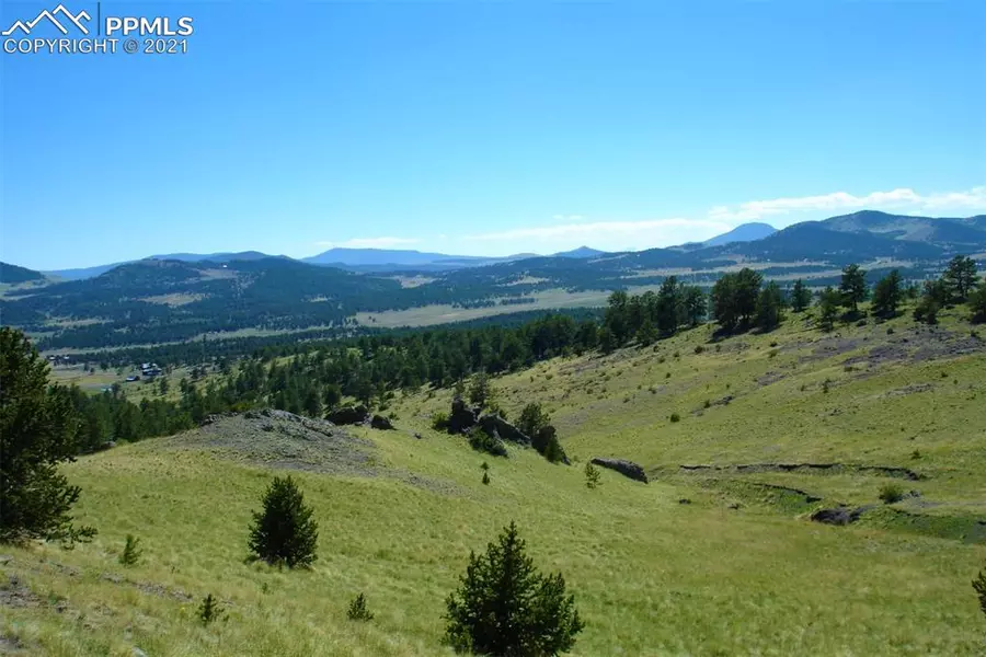 1745 Castle Mountain PASS, Guffey, CO 80820