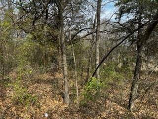 TBD Oak Trail Drive, Gordonville, TX 76245