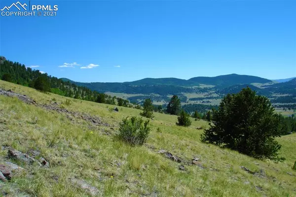 Guffey, CO 80820,1745 Castle Mountain PASS