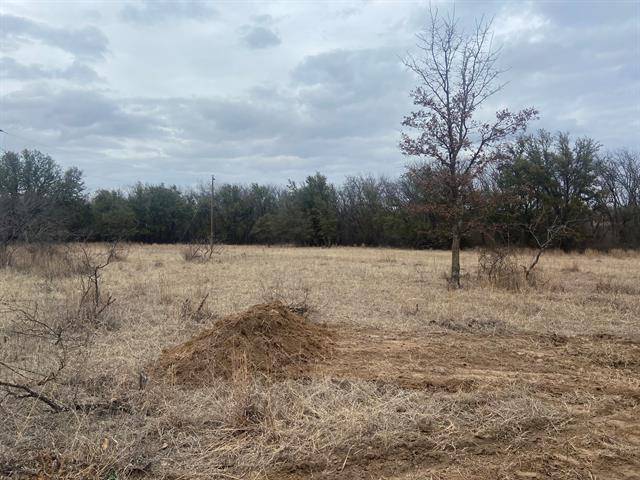 000 Tract 4 Co Road 290 North, Carbon, TX 76435