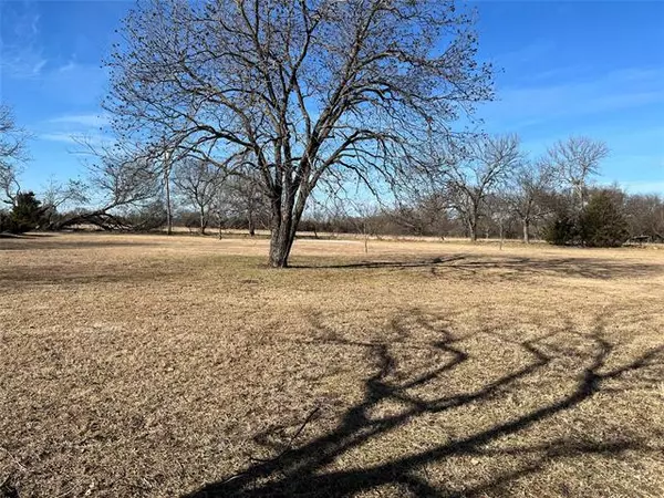 Princeton, TX 75407,Lot 4 County Road 463