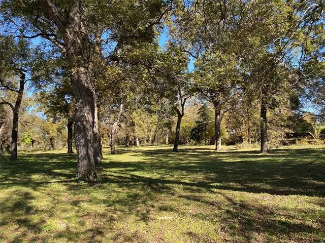 TBD County Road 1206, Rio Vista, TX 76093