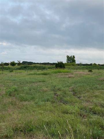 26425 S Farm Road 219, Carlton, TX 76436