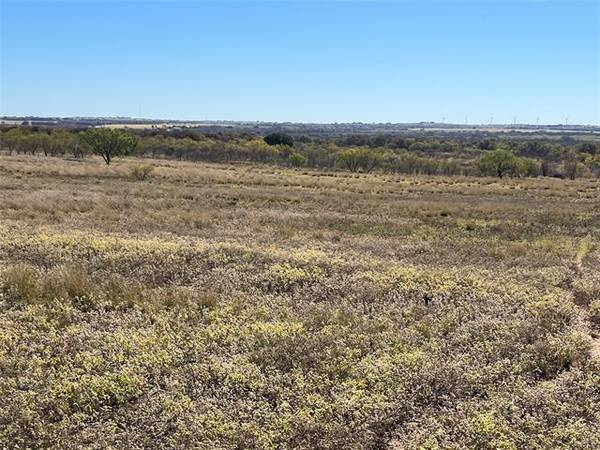 Tract 2 CR 102, Comanche, TX 76442