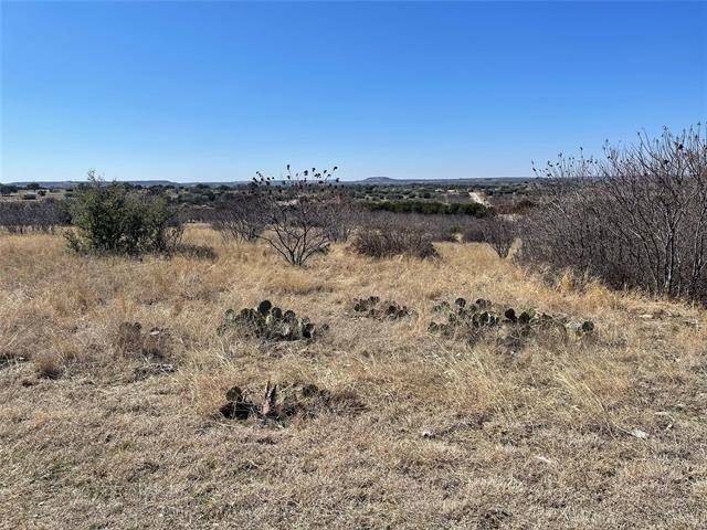 790 Baltrusol Drive, Graford, TX 76449