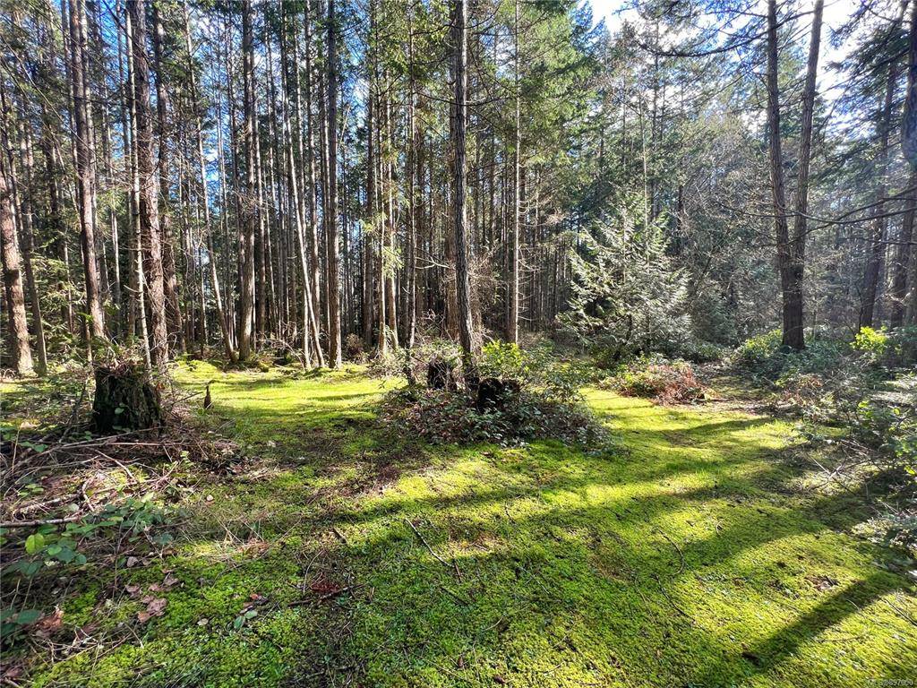 Gabriola Island, BC V0R 1X7,LT B Coast Rd