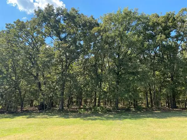 Grand Saline, TX 75140,0 VZ County Road 1806