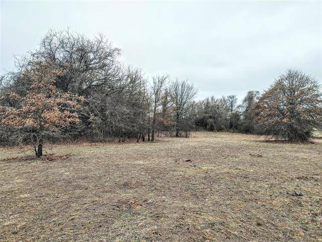 TBD County Road 4790, Boyd, TX 76023