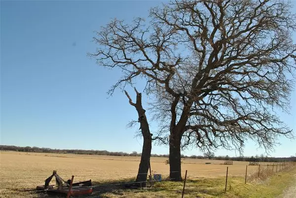 Comanche, TX 76442,TBD County Rd 102