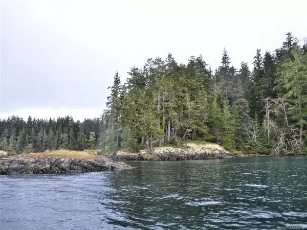 See Remarks, BC V0N 1A0,Lot 1 Pearse Island