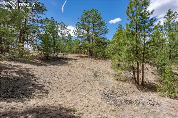 Westcliffe, CO 81252,00 Pine LN