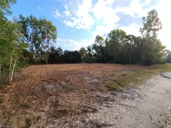 Other, FL 33956,4480 Turtle Trail LN