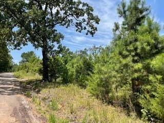 Lot 3 FM 556, Pittsburg, TX 75686