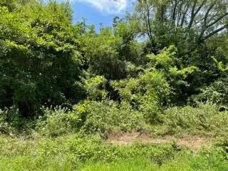 Pittsburg, TX 75686,Lot 9 County Road 1350