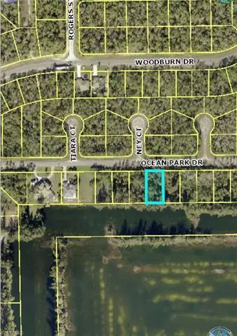 Lehigh Acres, FL 33972,213 Ocean Park DR