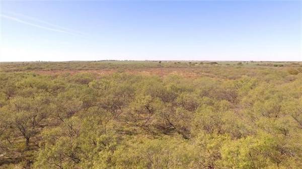 TBD Woods, Nocona, TX 76255