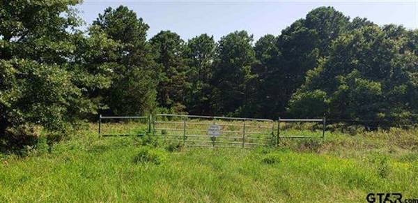 TBD County Road 1400, Mount Pleasant, TX 75455