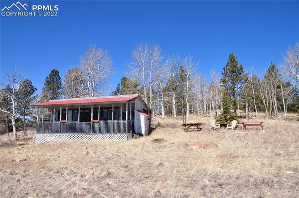 932 Vagabond Creek DR, Lake George, CO 80827