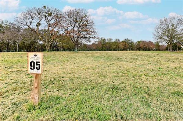 Lot 95 Clubview Drive, Mabank, TX 75143