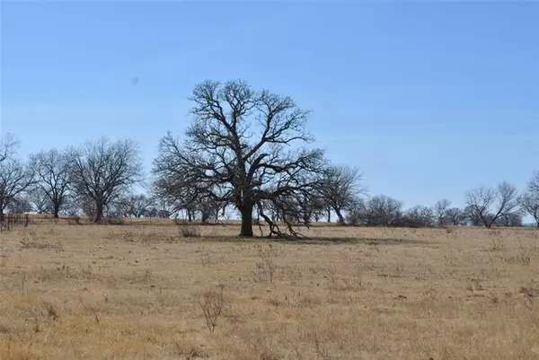 Comanche, TX 76442,00000 Highway 36