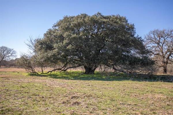 TBD County Rd 249, Kosse, TX 76653