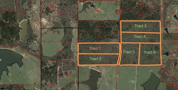 Tract 4 Cr 4420, Winnsboro, TX 75494