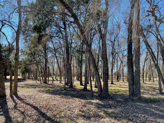 Kerens, TX 75144,Lot 86 Jackson Circle