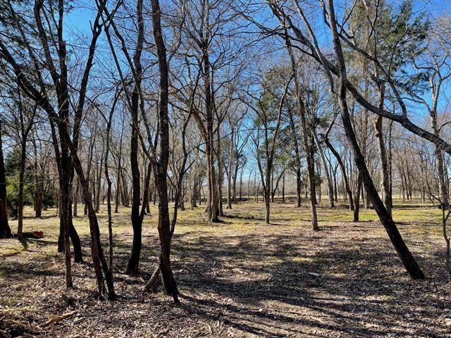 Kerens, TX 75144,Lot 86 Jackson Circle